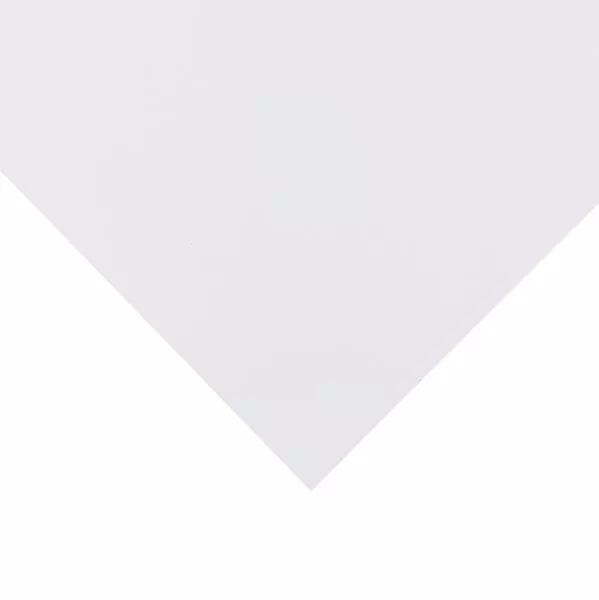 Coala carton alba - 50 x 70 cm