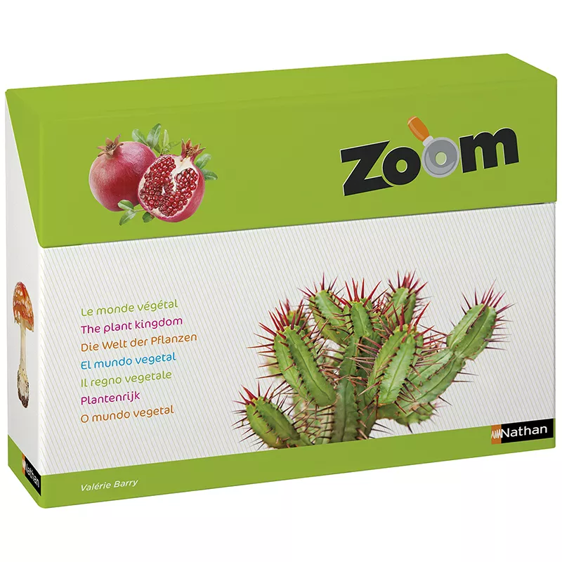 Zoom - Regatul plantelor