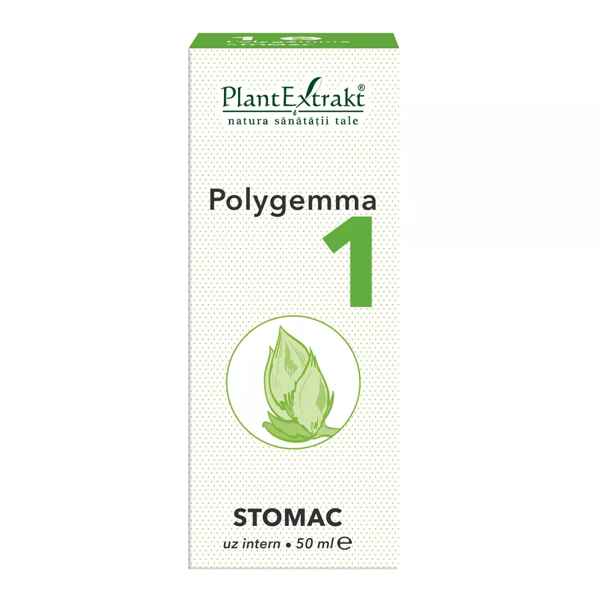 Polygemma 1 Stomac, 50 ml, Plantextrakt, [],remediumfarm.ro