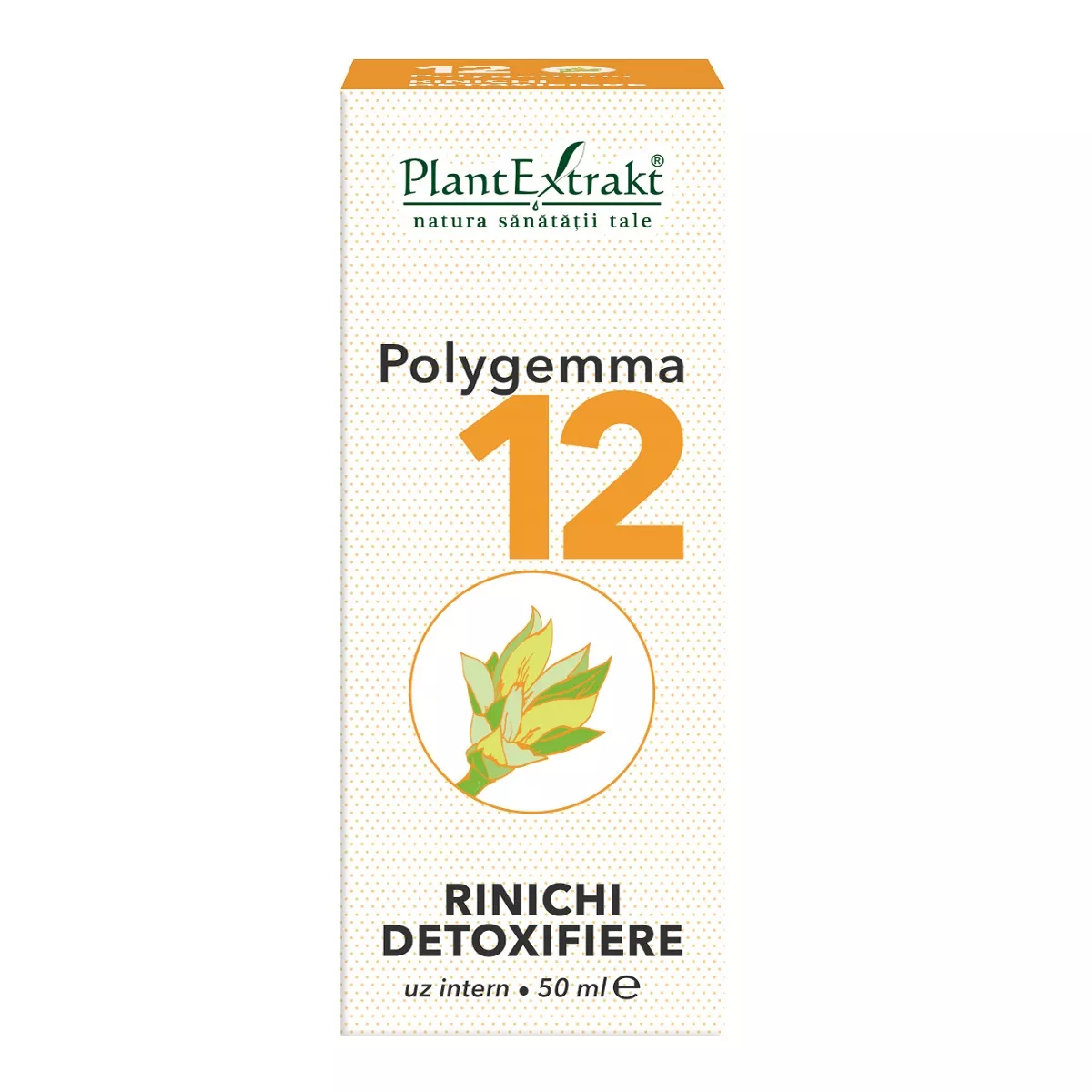 Polygemma 12 Rinichi detoxifiere, 50 ml, Plantextrakt, [],remediumfarm.ro