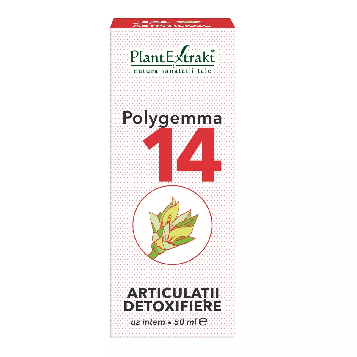 Polygemma 14 Articulatii detoxifiere, 50 ml, Plantextrakt, [],remediumfarm.ro