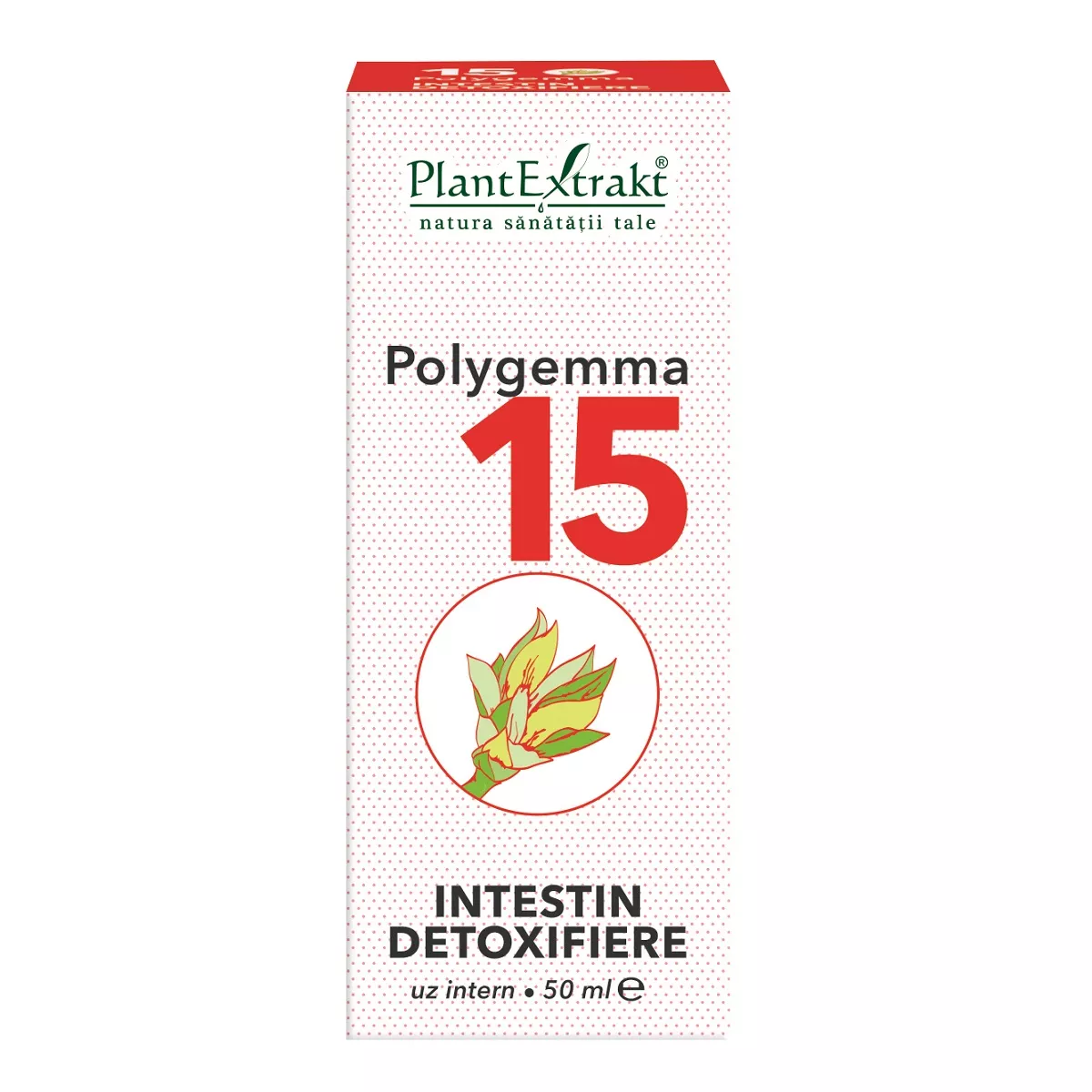 Polygemma 15 Intestin detoxifiere, 50 ml, Plantextrakt, [],remediumfarm.ro