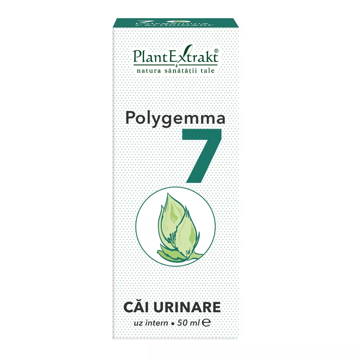 Polygemma 7 Cai Urinare, 50 ml, Plantextrakt, [],remediumfarm.ro
