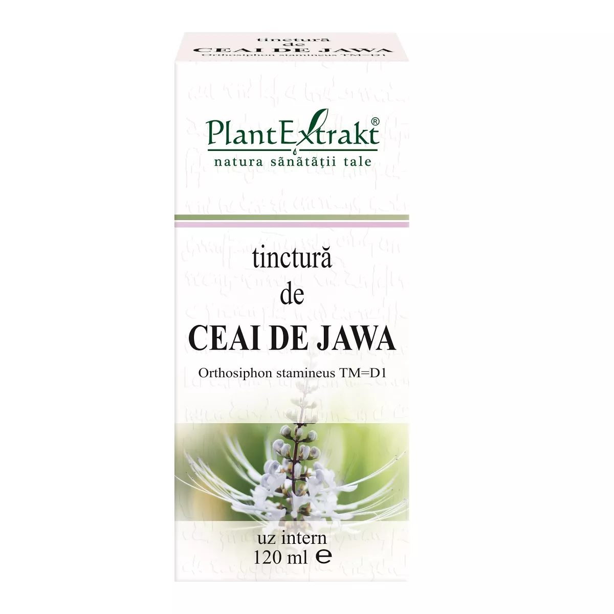 Tinctura de ceai de Jawa, 120 ml, Plantextrakt, [],remediumfarm.ro