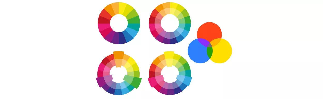 Ce sunt culorile complementare și cum le folosești corect?