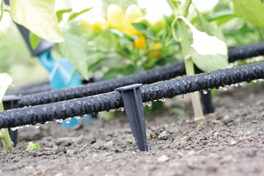 SRL . GARDEN BED / I-SHELF  P-SPRAYセット Echipamente de grădinărit – Roze Garden