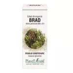  Extract din muguri de Brad, 50 ml, Plant Extrakt 