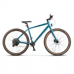 Bicicleta Hidraulica Trekking Carpat PRO C29271H 29