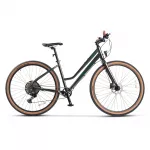Bicicleta Hidraulica Trekking Carpat PRO C29272H 29