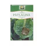Ceai Patlagina, 50 g, Stef Mar
