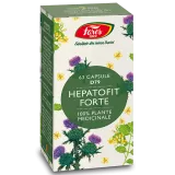 Hepatofit Forte D79, 63 Capsule, Fares