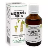 Extract din amenti de MESTEACAN PUFOS 50 ml