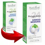 Polygemma 24 - Ginkgo Memorie