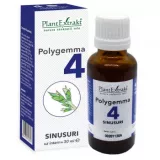 Polygemma 4 - Sinusuri