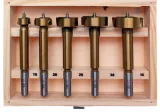 BGS 2025 Set burghie pentru lemn, 5-35 mm