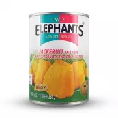 Conserve si muraturi - Jackfruit in sirop TWIN ELEPHANTS 565g, asianfood.ro