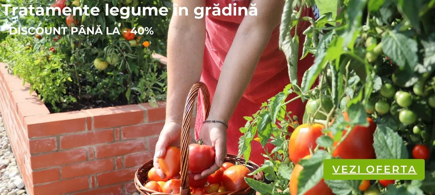 Promo tratamente legume in gradina