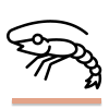 Fructe de mare Fructe de mare