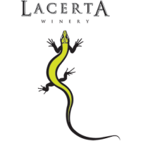 Lacerta Lacerta