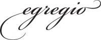VINCON EGREGIO VINCON EGREGIO
