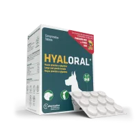 Hyaloral Supliment Nutritiv Large Breed 12 tablete