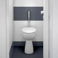 Robinet spalare WC Schell Schellomat Silent, spalare cu presiune, 4.5/9 l, crom, 022490699