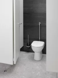 Robinet spalare WC Schell Schellomat, spalare cu presiune, 6 l, crom, 022380699