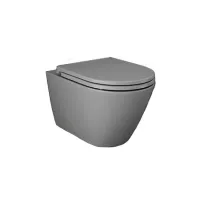 Vas WC Rak Ceramics Feeling, suspendat, Rimless, fara capac, gri, RST23503A