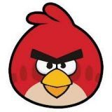 ANGRY BIRDS ANGRY BIRDS