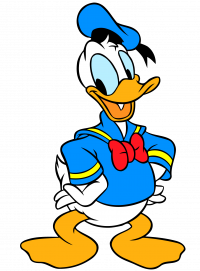 DUCK DUCK