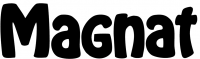 Magnat Magnat