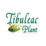 TIBULEAC