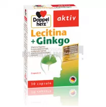 Doppelherz Aktiv Lecitina 600 mg+Ginkgo 15 mg 30 capsule