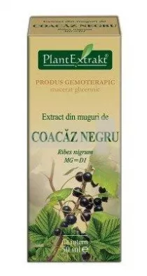 Extract din muguri de Coacaz Negru 50 ml