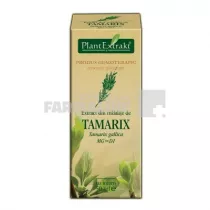 Extract din mladite de Tamarix 50 ml