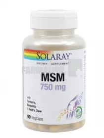 MSM 750 mg  90 capsule