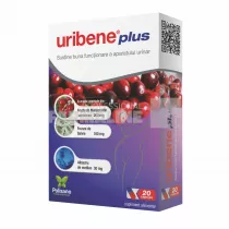 Uribene Plus 20 capsule
