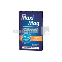 Maxi Mag Carcel 30 comprimate