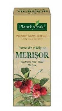 Merişor (Cranberry) extract 20:1, 1000 mg, 60 capsule