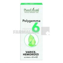 Polygemma 6 - Varice /Hemoroizi - Colt de Sanatate