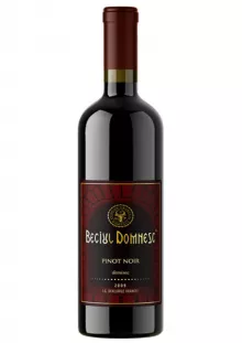 Beciul Domnesc Pinot Noir Vincon 0.75L