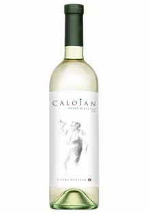 Vin alb sec Caloian Rhein Riesling 0.75L