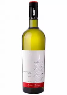 Vin alb sec Sauvignon Blanc KARAKTER Sahateni 0.75L