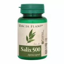 Salix 500mg , 60 comprimate (Dacia Plant)