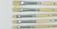Set 5 pensule plate nr 4, 6, 8, 12, 16