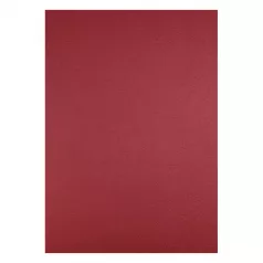 Coperti carton color imitatie piele A4 250g/mp 100coli/top  EVOffice - rosu