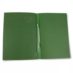 Dosar incopciat 1/1 carton duplex color, 250 gr/mp Willgo - verde