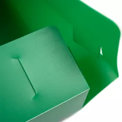 Mapa plastic rigid cu elastic si burduf 40 mm, culoare verde EVOffice