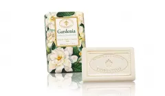 MASACCIO - Gardenia