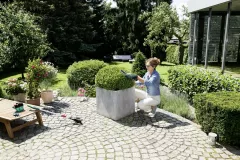 Bosch Isio 3 grass+shrub+sprayer Foarfece de taiat iarba cu acumulator